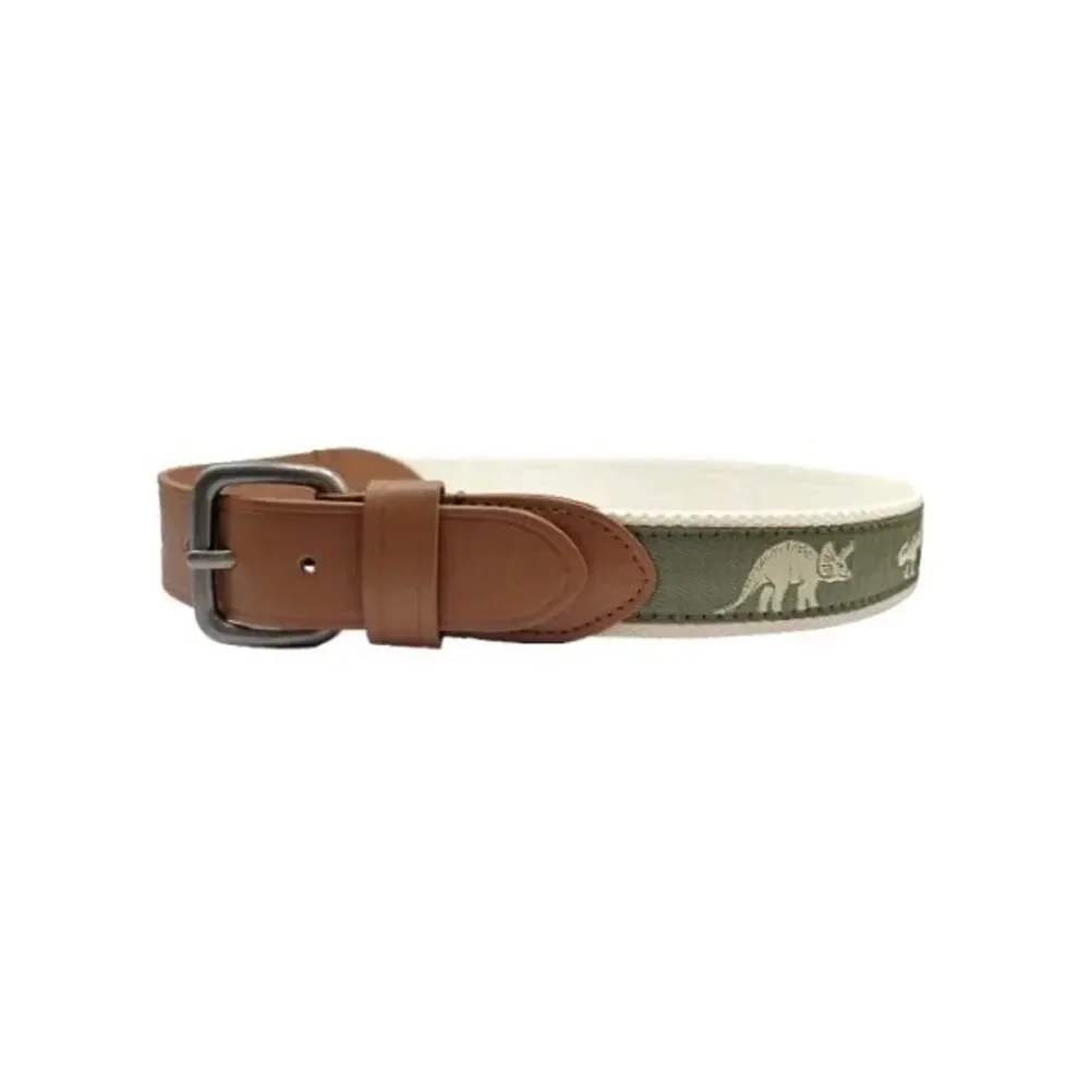Wonder Nation Boy's Size L Large Green Dinosaur Webbing Belt New